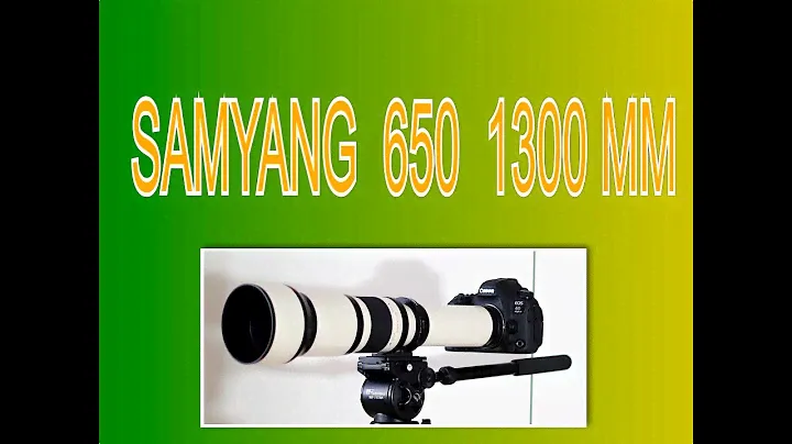 CANON  6D. mark 2  SAMYANG  650  - 1300  MM