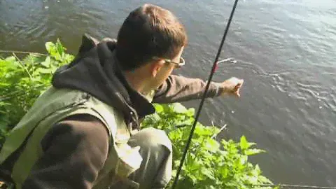 M.Z.Custom Shad 35F