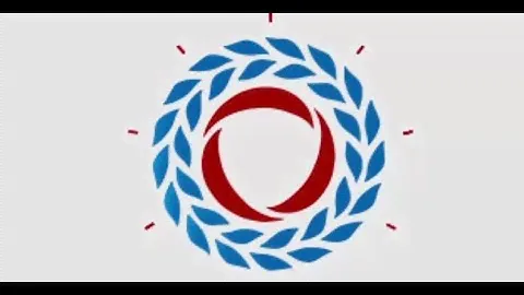 Вопросы признания гражданина банкротом (несостоятельным)