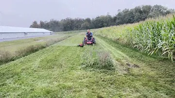 Bad Boy ZT Elite vs Drainage Basin Tall Wet Grass